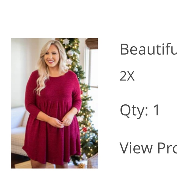 Plus size 2x-3x. Chic soul/Torrid. dresses worn a few hours. Smoke/pet free home - Picture 5 of 8